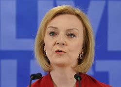 Image result for Liz Truss Trousers