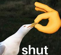 Image result for Shut Bird Meme