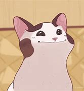 Image result for Discord Cat Memes