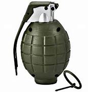 Image result for Grenade Pic