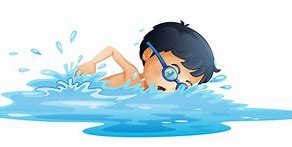 Image result for Someone Swimming Cartoon