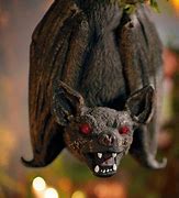 Image result for Bat Halloween Decoration