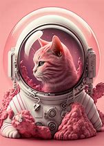 Image result for IKEA Astronaut Cat