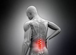Image result for Types of Chiropractors