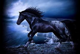 Image result for Indian Black Horse
