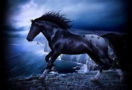 Image result for Black Forest Horse