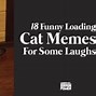 Image result for Cat Loading Sign Meme