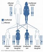 Image result for Biological Inheritance