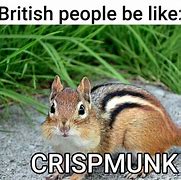 Image result for Chipmunk Meme