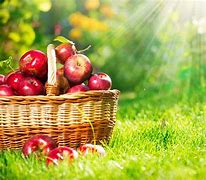 Image result for Apple Fruit in Basket Wallpaper