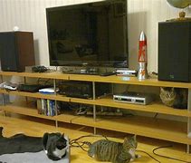 Image result for Cheap TV Stand