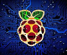 Image result for Raspberry Pi Logo