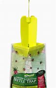 Image result for Lady Bug Traps for Indoors