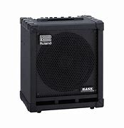 Image result for Roland Cube 100