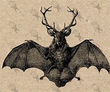 Image result for Deer Bat Hybrid