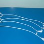 Image result for Plastic Hook Strip