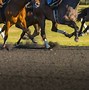Image result for Black Horse Racing