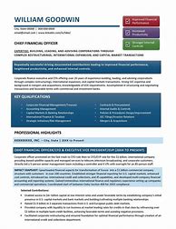 Image result for CFO Resume Templates