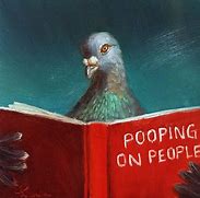 Image result for Bird Poop Funny Memes