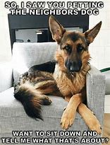 Image result for German Shepherd with Pacifier Meme