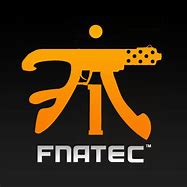 Image result for Fnatic CS:GO