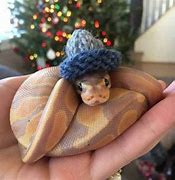 Image result for Snek PFP