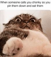 Image result for Cats On Catnip Memes