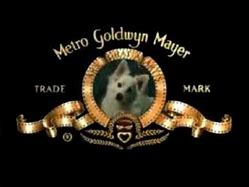 Image result for Metro Goldwyn Mayer Dog