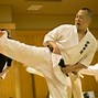 Image result for Okinawan Karate Styles