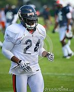 Image result for Chicago Bears Graphics