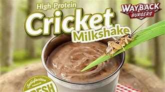 Image result for Milk Cricket