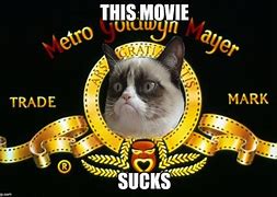Image result for Rawr Cat Meme
