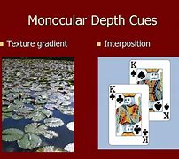 Image result for Texture Gradient Monocular Cue