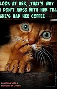 Image result for Funny Coffee Rude Meme