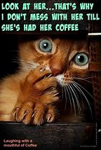 Image result for Sunday Cat Coffee Meme