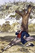 Image result for Newton Apple Tree Plaque
