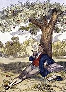 Image result for Newton Apple Falling Pic