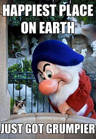 Image result for Grumpy Cat Memes Funny Disney
