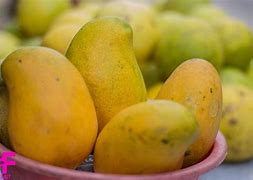 Image result for Jamaican Mangoes