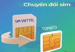 Image result for Sim 2 iPhone 12