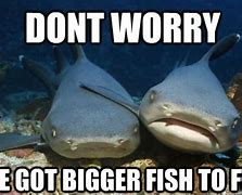 Image result for Bigger Fish Meme