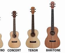 Image result for Most Common Ukulele Size