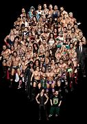 Image result for WWF Wrestling Matches