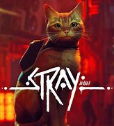 Image result for Stray Game Cover Art