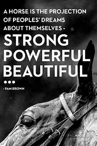 Image result for Quotes About Horse Racing
