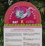 Image result for What Are Chinese Zodiac Signs