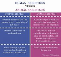 Image result for Similarities and Differences Between Humans