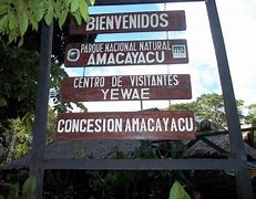 Image result for amacayi