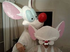 Image result for Pinky and the Brain Halloween Costumes