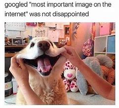Image result for Meme Doggo Ads